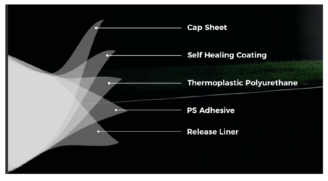 Fortador Paint Protection Film (PPF) Sheet Breakdown
